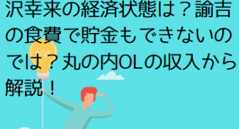 デキる猫は今日も憂鬱の丸の内OL・福沢幸来の経済状態は？諭吉の食費で貯金もできないのかも！