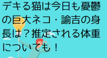 デキる猫は今日も憂鬱の巨大ネコ・諭吉の身長は？推定される体重についても！